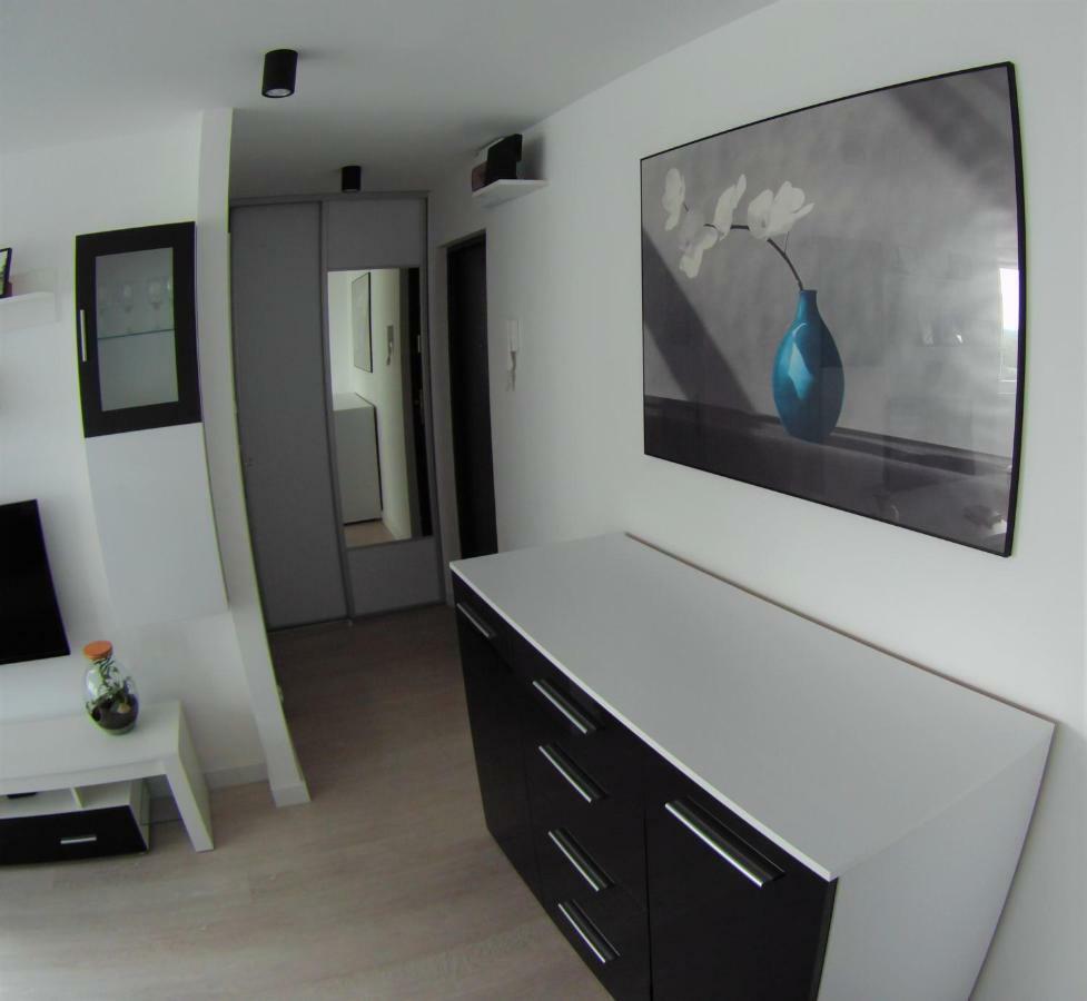 Apartament Miedzianka Polkwitz Exterior foto